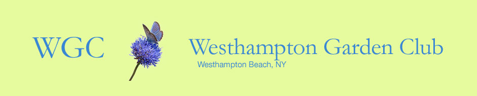Westhampton Garden Club, Westhampton Beach, Long Island